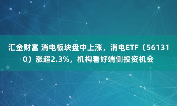汇金财富 消电板块盘中上涨，消电ETF（561310）涨超2.3%，机构看好端侧投资机会
