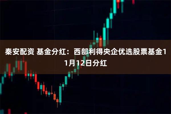 秦安配资 基金分红：西部利得央企优选股票基金11月12日分红